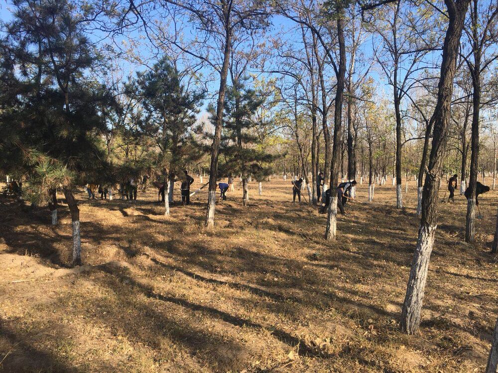 1541431025883141.jpg 图片3.jpg