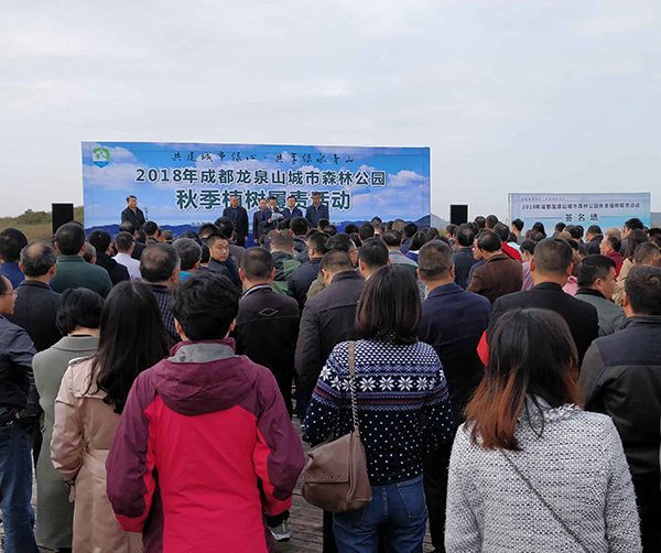 1541431245243215.jpg 01.jpg