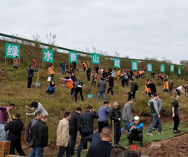 1541431256855643.jpg 03.jpg