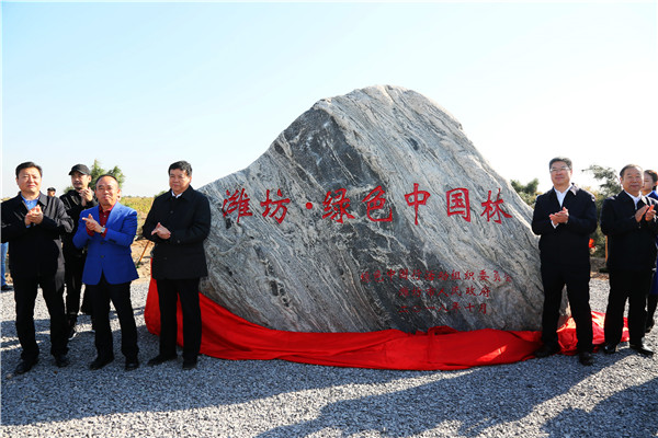 1541431764232715.jpg 01.jpg