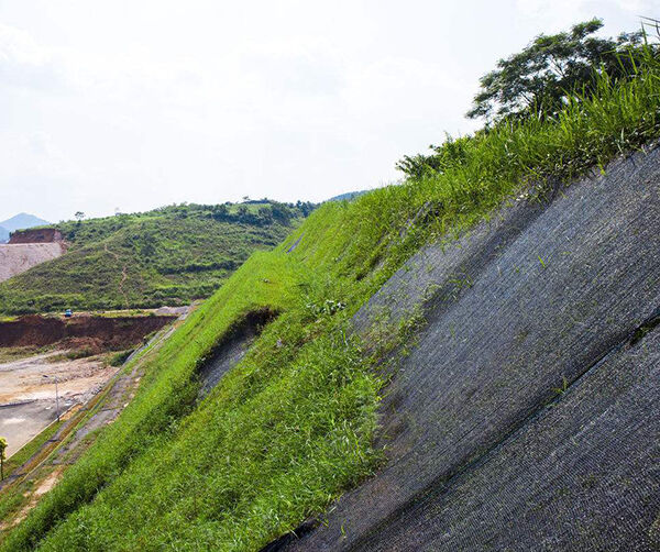 1542418447212017.jpg 01.jpg