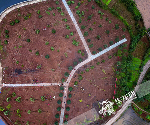 1542419147159518.jpg 01.jpg