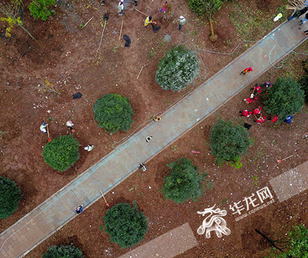 1542419156360563.jpg 02.jpg