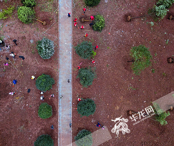 1542419182294724.jpg 03.jpg