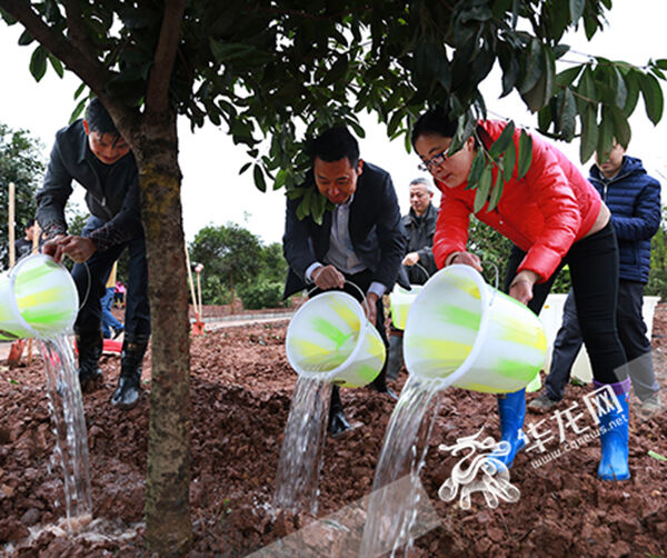 1542419244806759.jpg 04.jpg