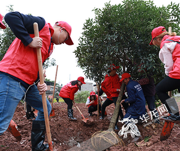 1542419258951906.jpg 05.jpg