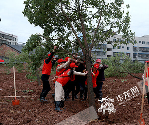 1542419366254532.jpg 06.jpg