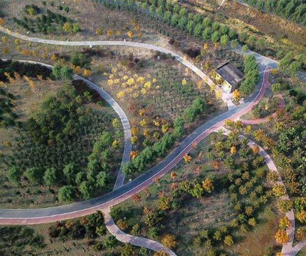 1542814495479460.jpg 01.jpg