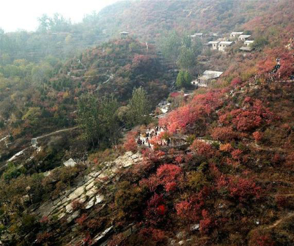 1542814537363790.jpg 03.jpg