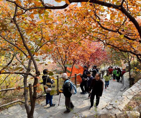 1542814560124112.jpg 04.jpg