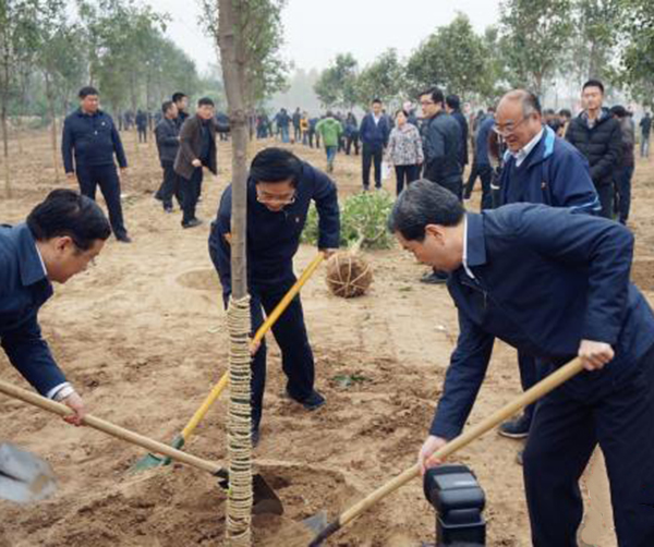 1542815166675082.jpg 01.jpg