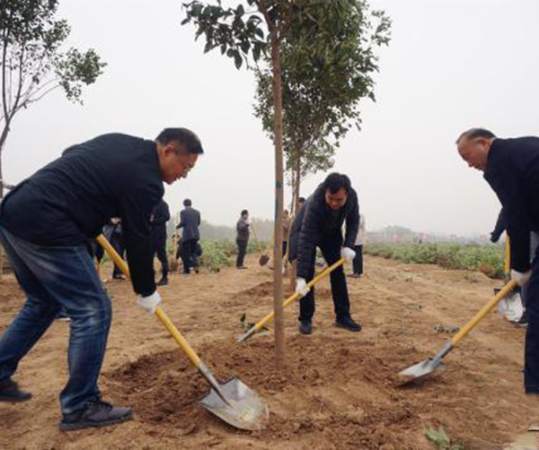 1542815184958016.jpg 02.jpg