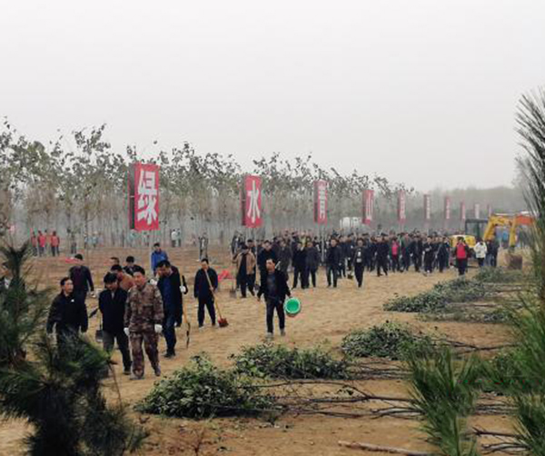 1542815214932756.jpg 03.jpg