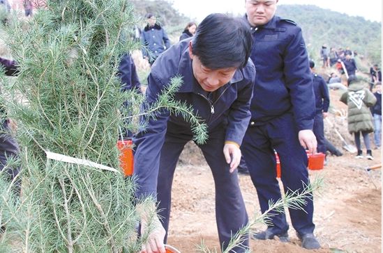 1544107199435395.jpg 01.jpg