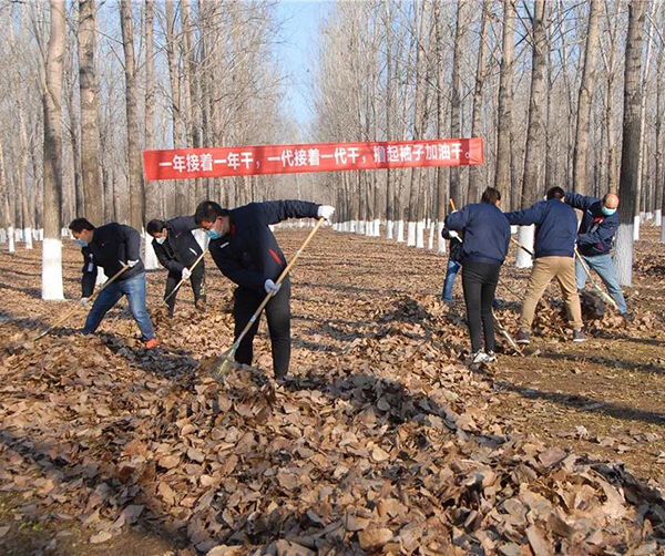 1544108101629253.jpg 03.jpg