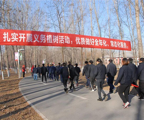 1544108112833869.jpg 02.jpg