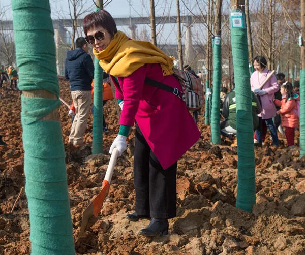 1545318929464700.jpg 07.jpg