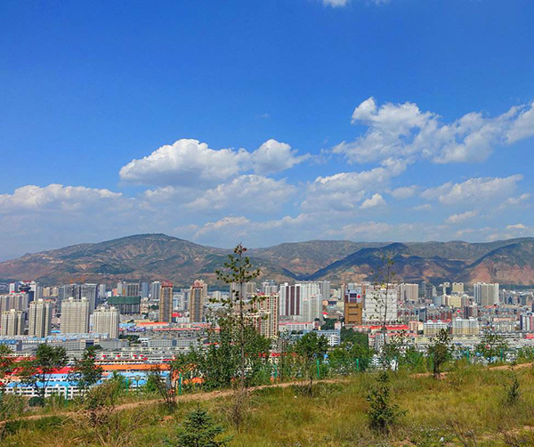 1545319098788729.jpg 01.jpg