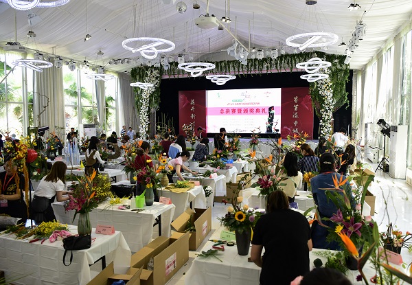 1545319266561306.jpg 1.jpg