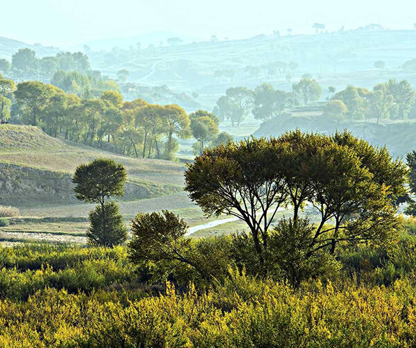 1545750952136539.jpg 00.jpg