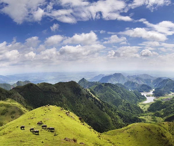 1545751129985126.jpeg 01.jpeg