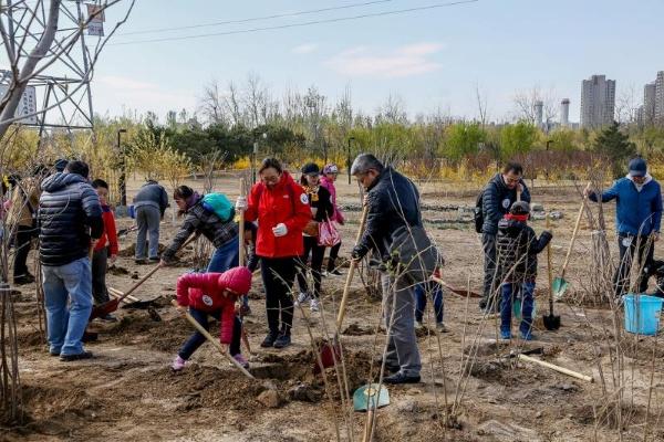 1545751383339994.jpg 002.jpg