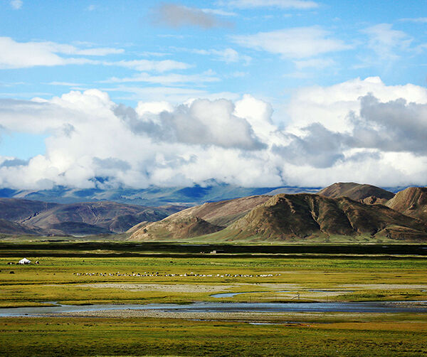 1547473118130554.jpg 01.jpg