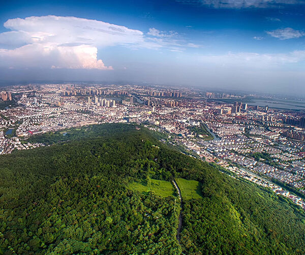 1547473382126349.jpeg 01.jpeg