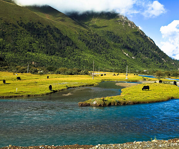 1548689331283966.jpg 01.jpg