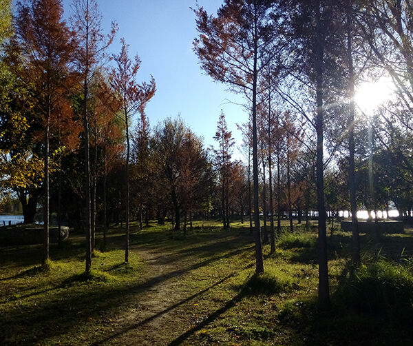 1548689774765234.jpg 01.jpg