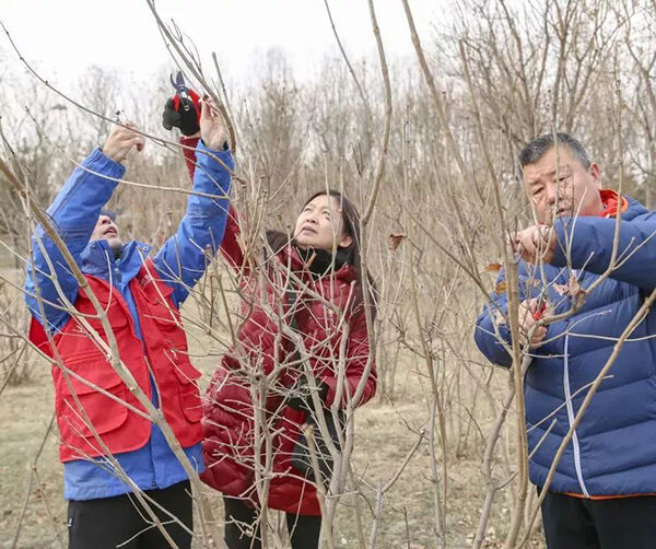 1548690307121551.jpg 图片3.jpg