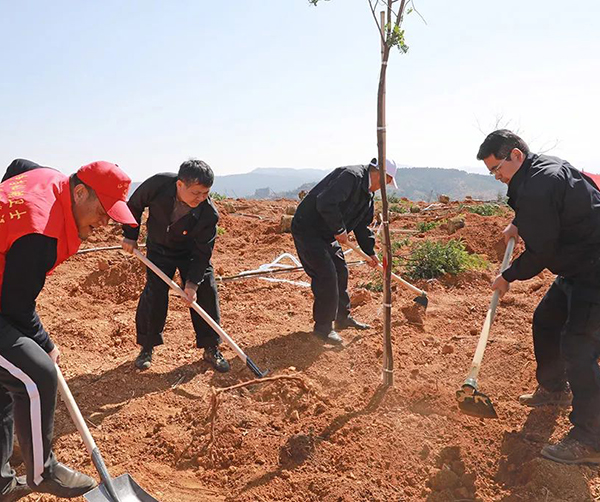 1549895897751679.jpg 01.jpg