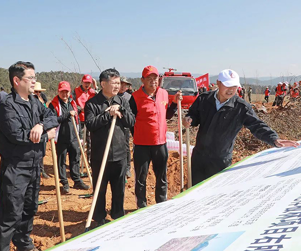 1549895907679816.jpg 04.jpg