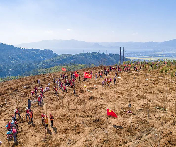 1549895915232371.jpg 03.jpg