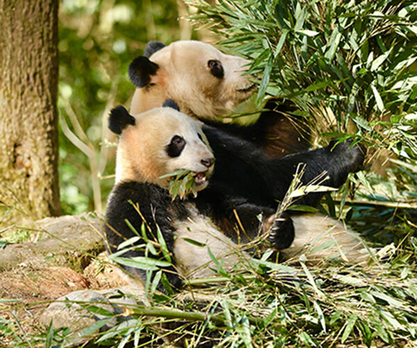 1549896174130184.jpg 01.jpg