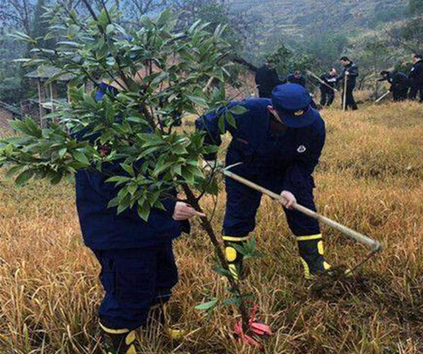 1550589809807620.jpg 01.jpg