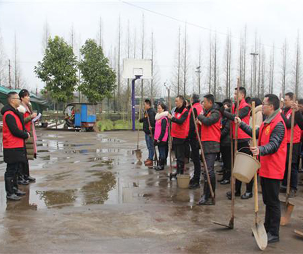 1550590495375323.jpg 荣昌区01.jpg