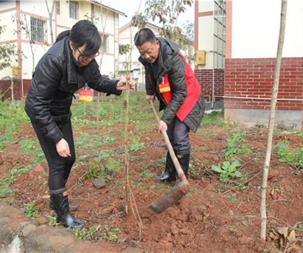 1550590503143295.jpg 荣昌区02.jpg