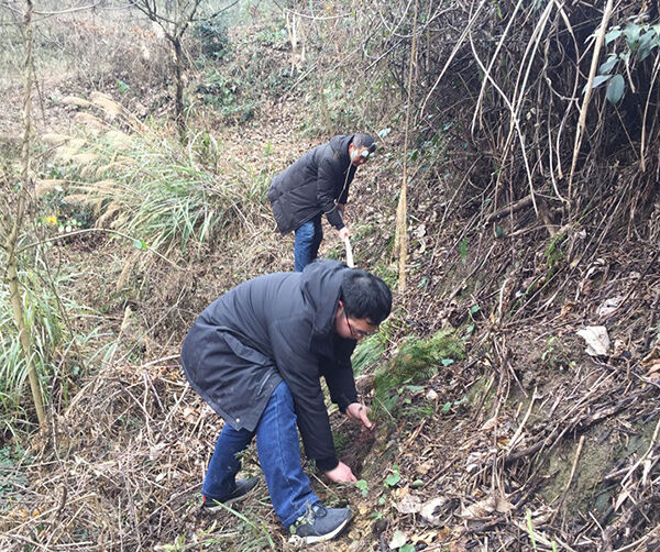 1550590527129891.jpg 秀山02.jpg