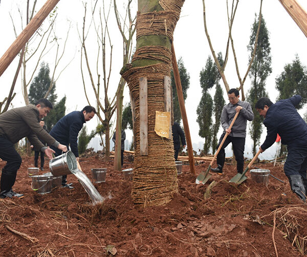 1550590569605026.jpg 潼南区.jpg