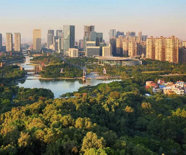 1550590823250574.jpg 佛山01.jpg