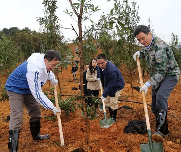 1550590868854611.jpg 韶关01.jpg