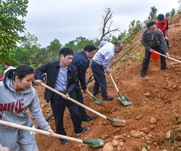 1550590910112691.jpg 茂名01.jpg