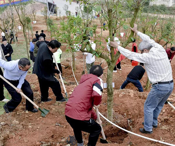 1550590923287021.jpg 茂名2.jpg