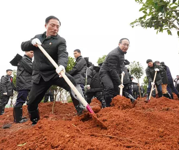 1550591068125536.jpg 01.jpg