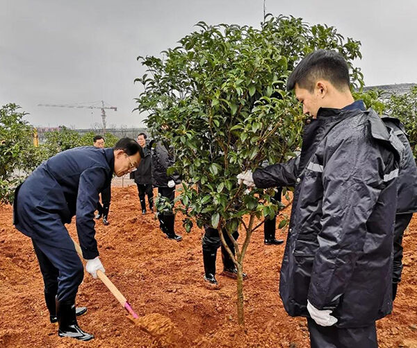 1550591092495295.jpg 02.jpg