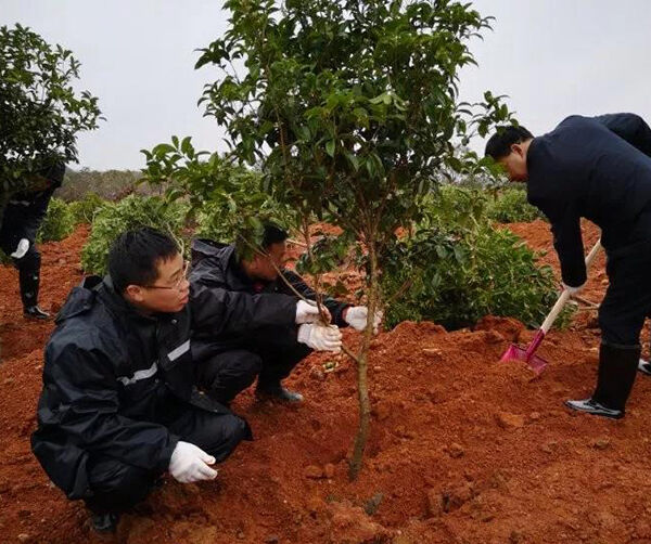 1550591113100001.jpg 03.jpg