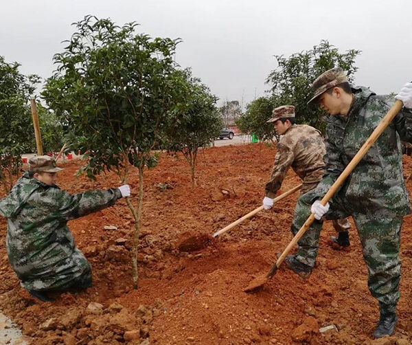 1550591130105591.jpg 04.jpg