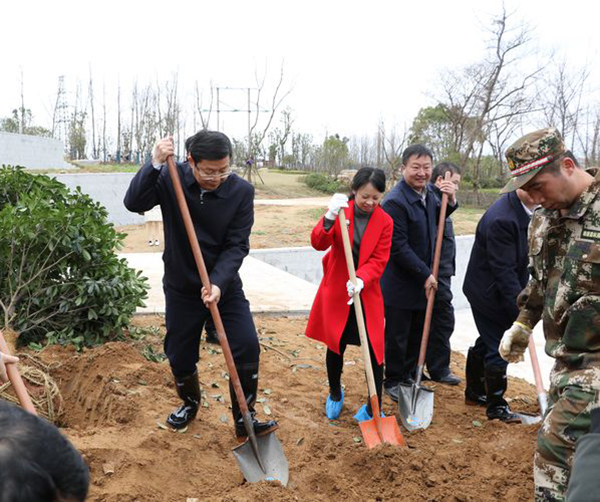 1550591231824187.jpg 01.jpg