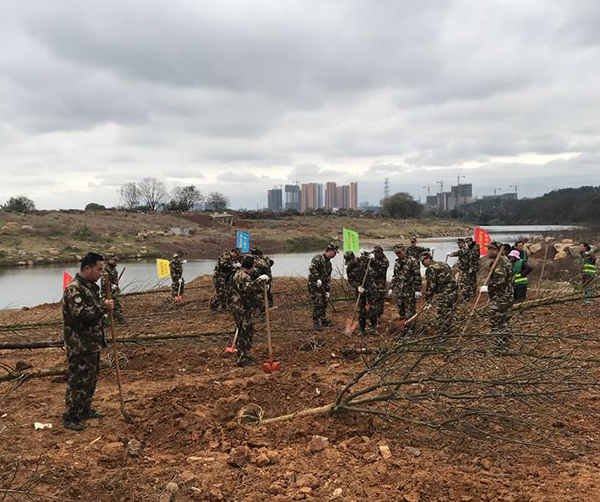 1550591243121521.jpg 04.jpg